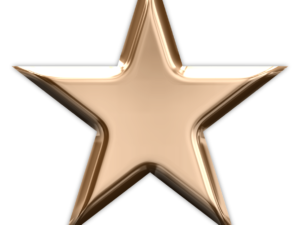 Bronze star