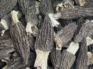 large size morchella (½ lb)