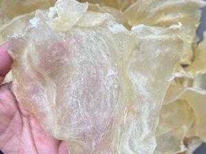 south america large fish maw 1 lb