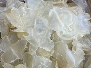 south america medium fish maw 1/2 lb