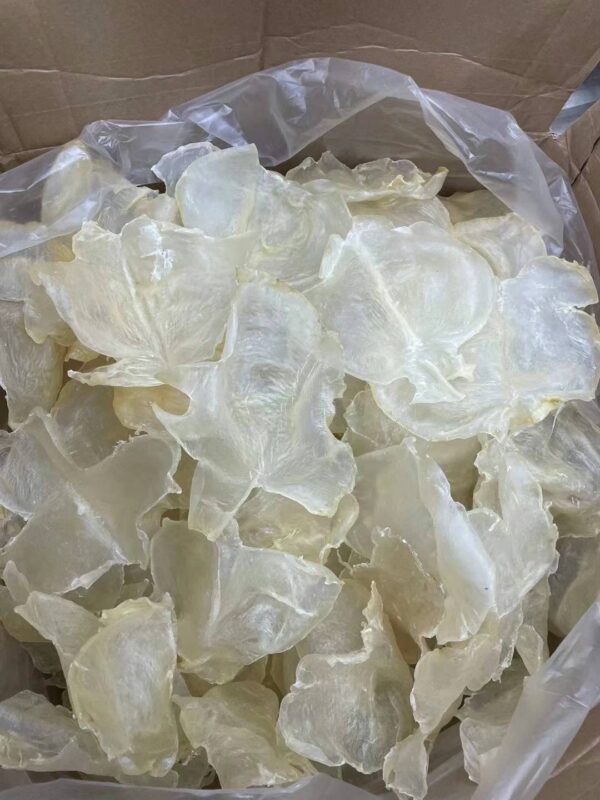 south america medium fish maw 1/2 lb